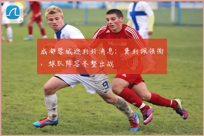 成都蓉城迎利好消息：费利佩领衔，球队阵容齐整出战