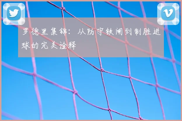 罗德里集锦：从防守铁闸到制胜进球的完美诠释